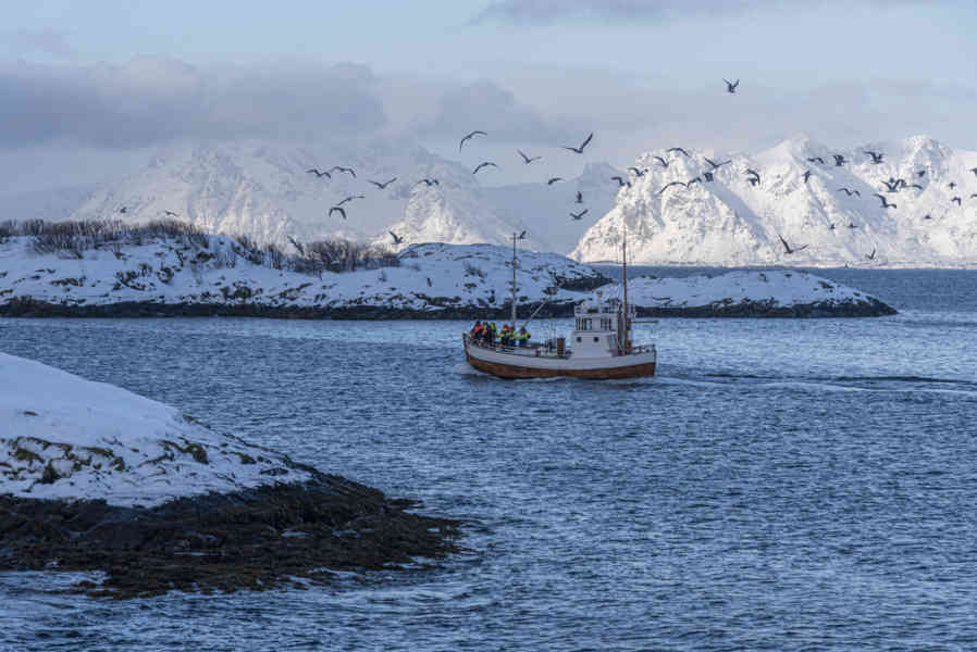 Noruega - islas Lofoten 083 - paisaje.jpg